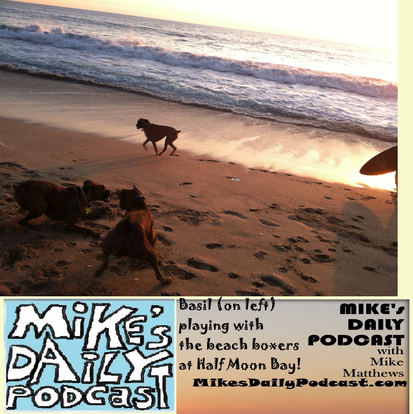 MIKEs DAILY PODCAST 1118 Half Moon Bay Boxers
