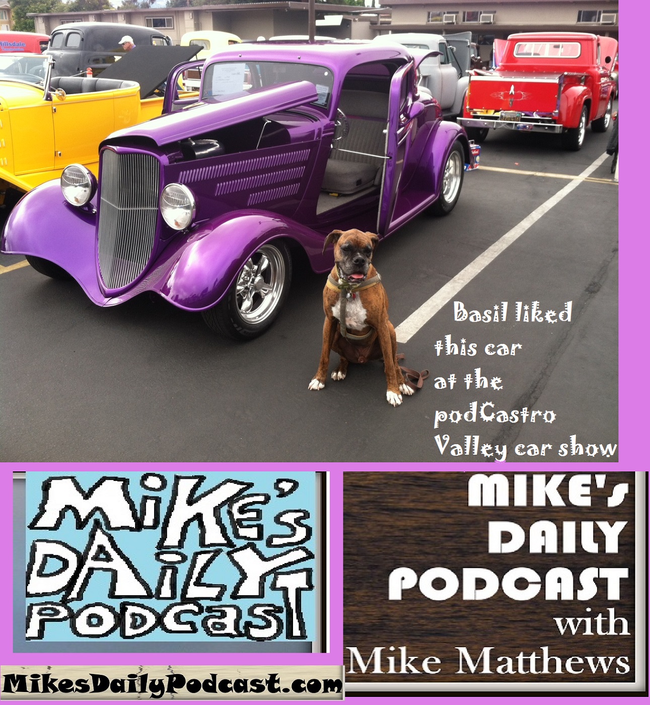 MIKEs DAILY PODCAST 1129 Redwood Car Show Castro Valley boxer