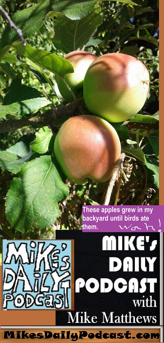 MIKEs DAILY PODCAST 1139 Mikes apples