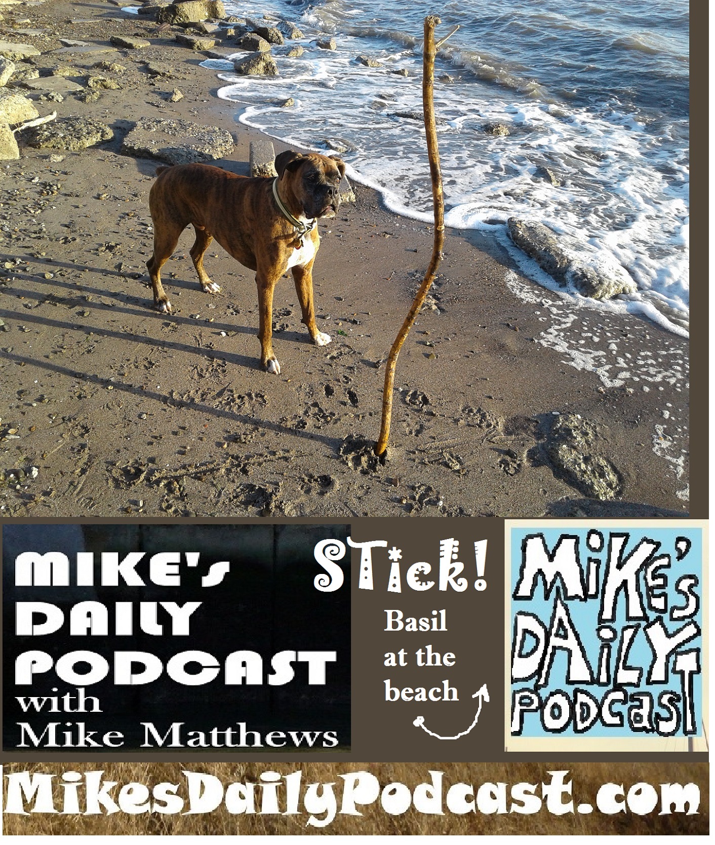mikes-daily-podcast-1192-bay-boxer-stick-san-leandro