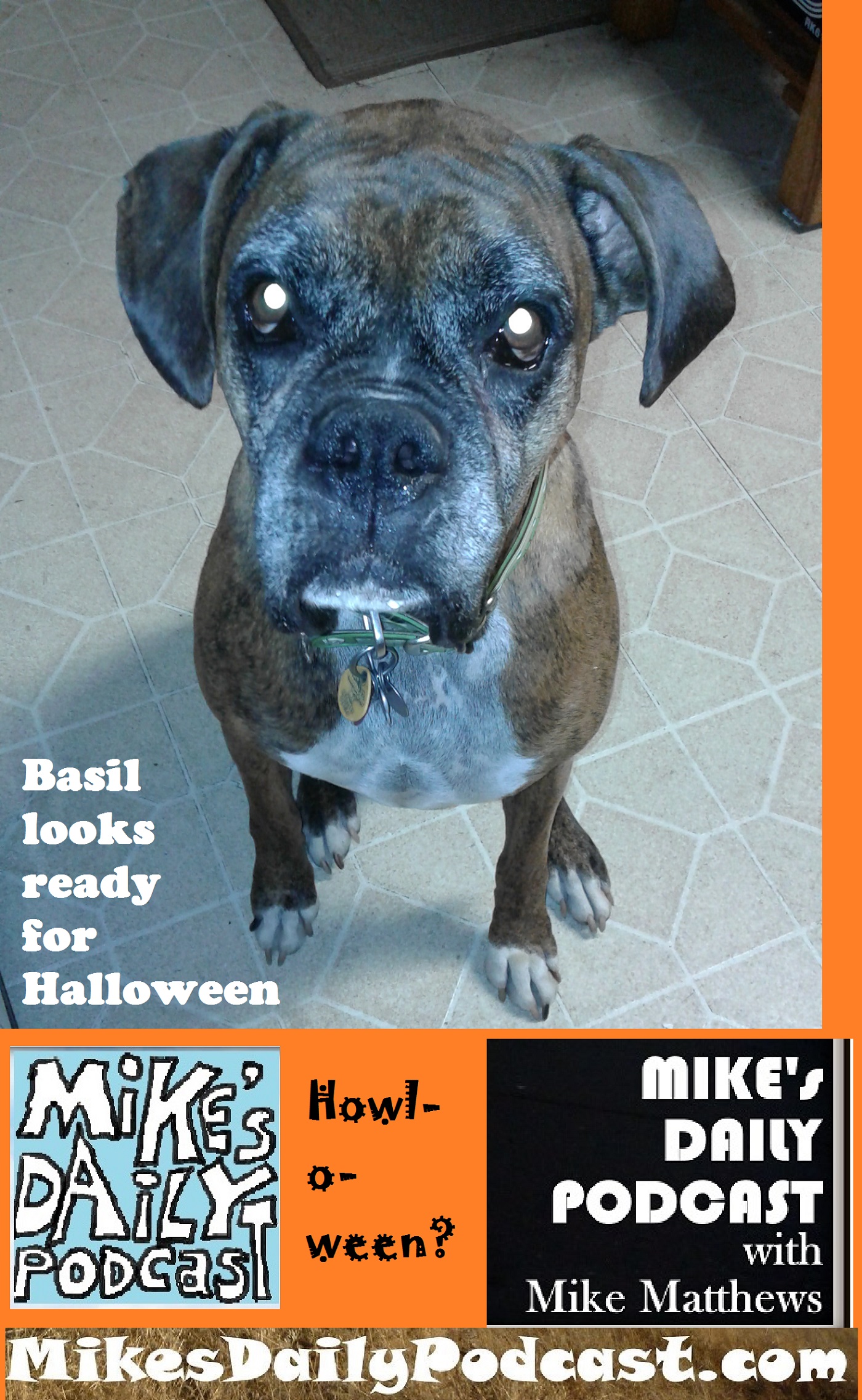 mikes-daily-podcast-1194-basil-howlloween
