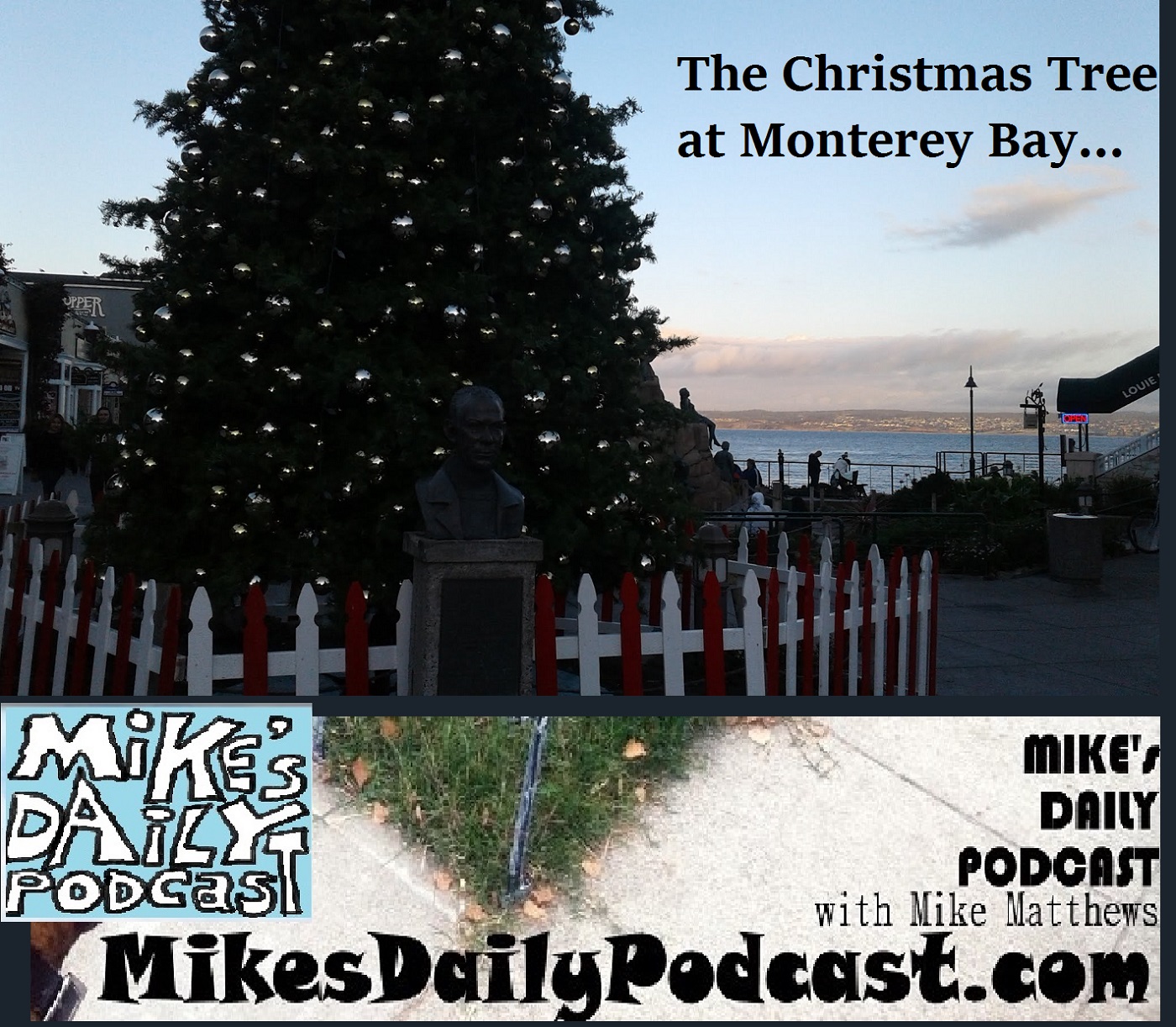 mikes-daily-podcast-1225-monterey-bay-christmas-tree