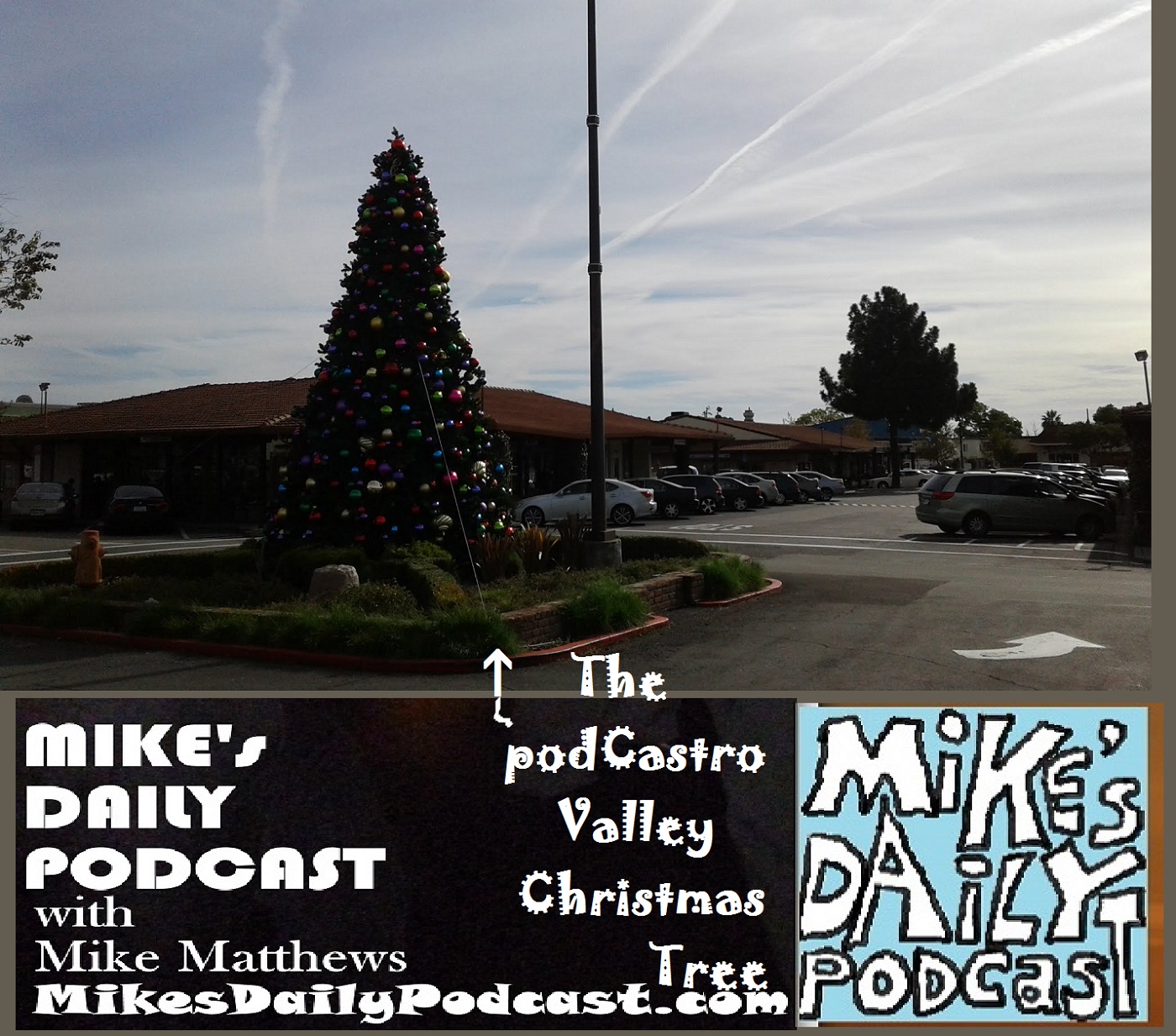 mikes-daily-podcast-1227-christmas-tree-castro-valley