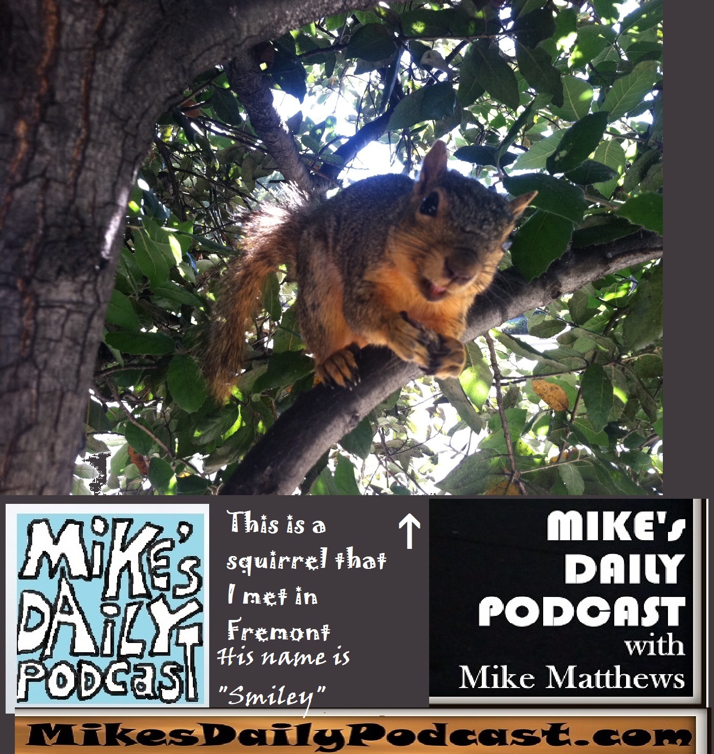 MIKEs DAILY PODCAST 1166 squirrel Fremont