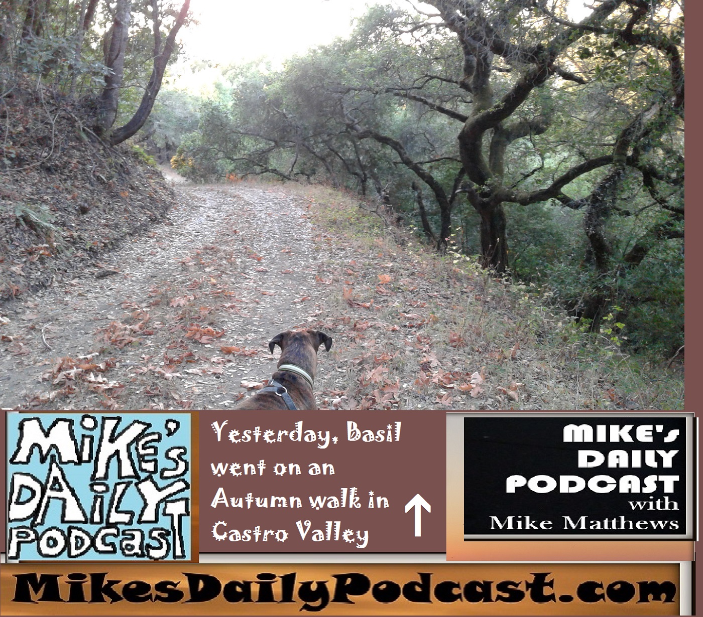 mikes-daily-podcast-1185-anthony-chabot-park-autumn