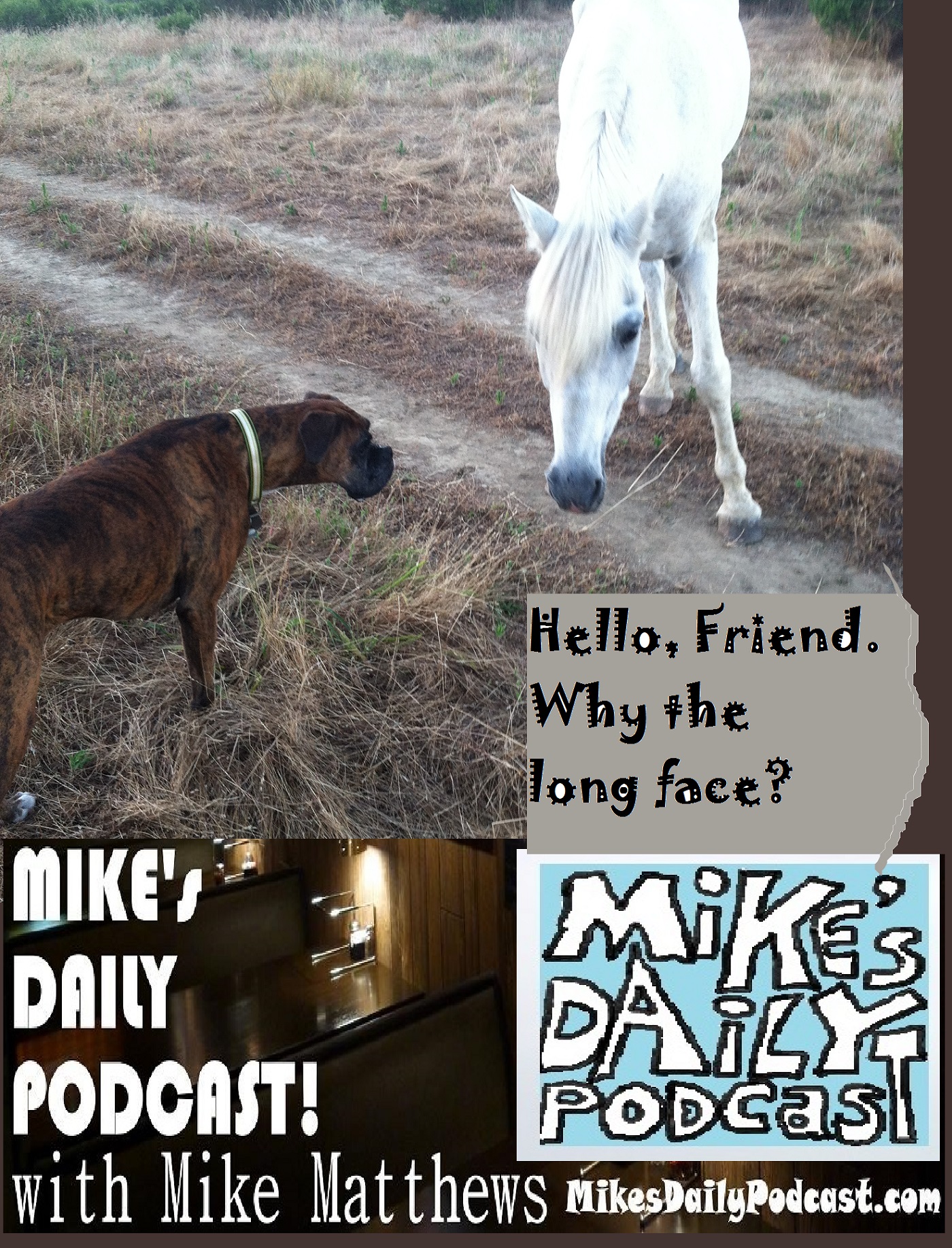 mikes-daily-podcast-1210-boxer-and-white-horse